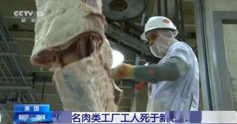 最新肉类疫情下的日常生活感悟