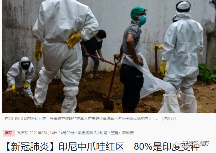 印尼感染最新动态,多维度视角下的观点阐述