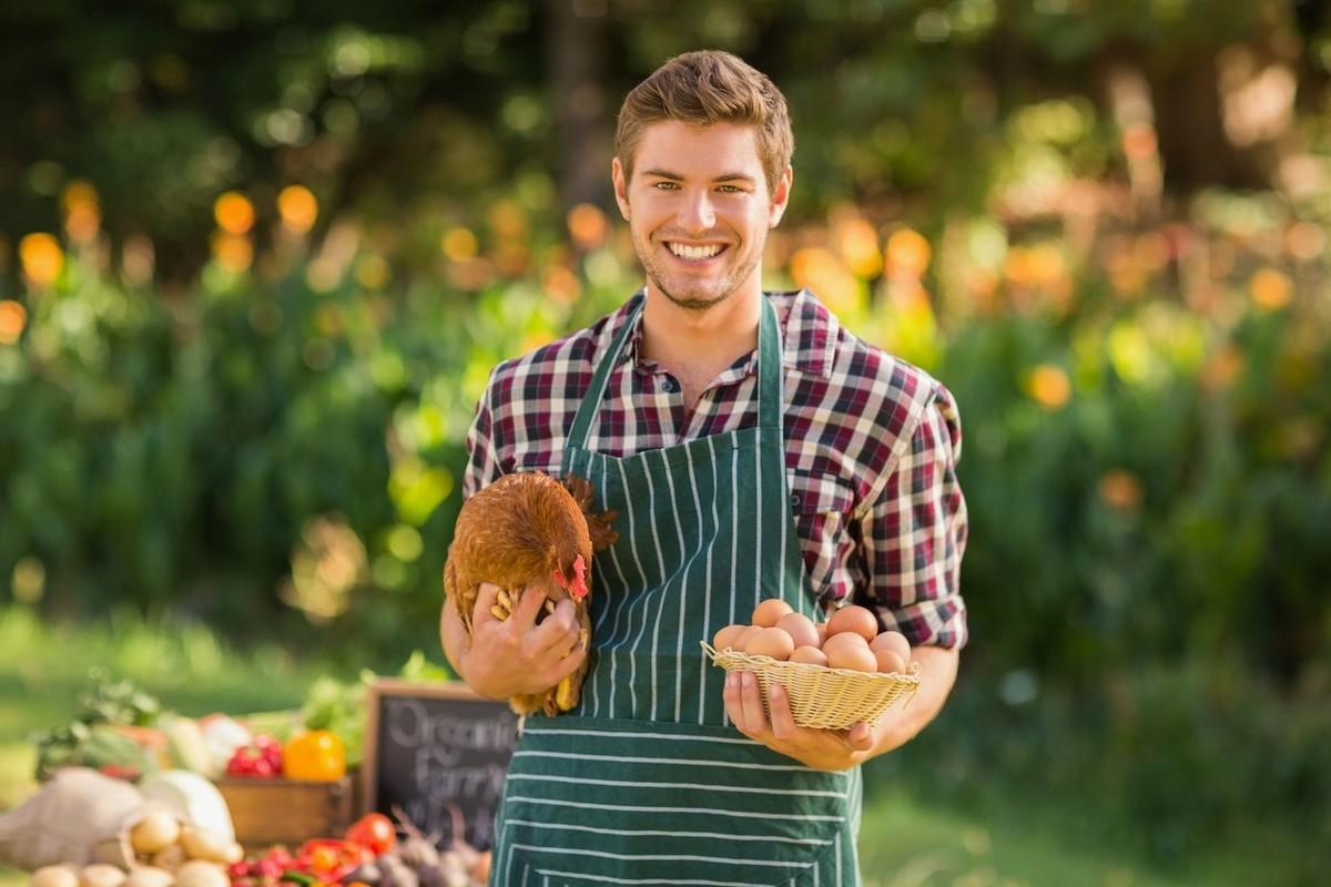 革新养猪业,智能高科技产品体验分享与最新养猪科技前沿探索