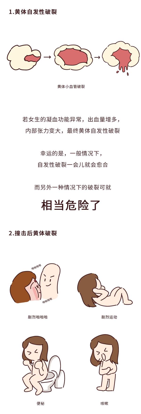 学习某项技能的步骤指南,遵守法律与道德准则的学习之路