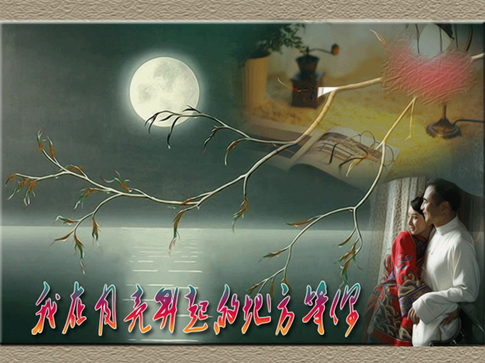 步月最新,步月最新,一场自然美景的旅行,寻找内心的平和与喜悦