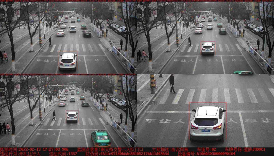 礼让行人最新规定解析,规则变化与自信成就之路