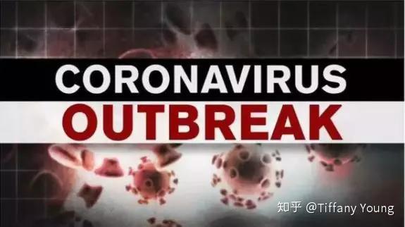 美国最新疫情今日速览📆,最新消息汇总🌍