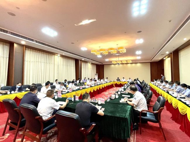 新型怪状病毒最新动态更新,病毒最新发展概况