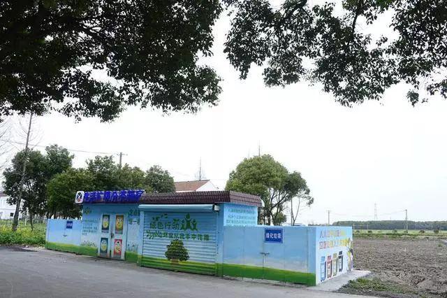 最新政策垃圾分类，小巷中的绿色奇遇之路