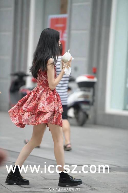 绿色经典精盛青稞酒 第333页