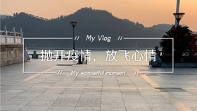 北京疫情街道名单更新，防控进展及关注焦点