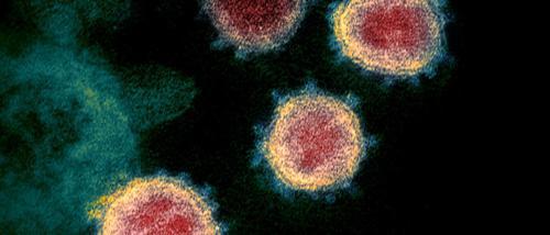 新冠病毒最新感染特征,挑战变化与应对策略