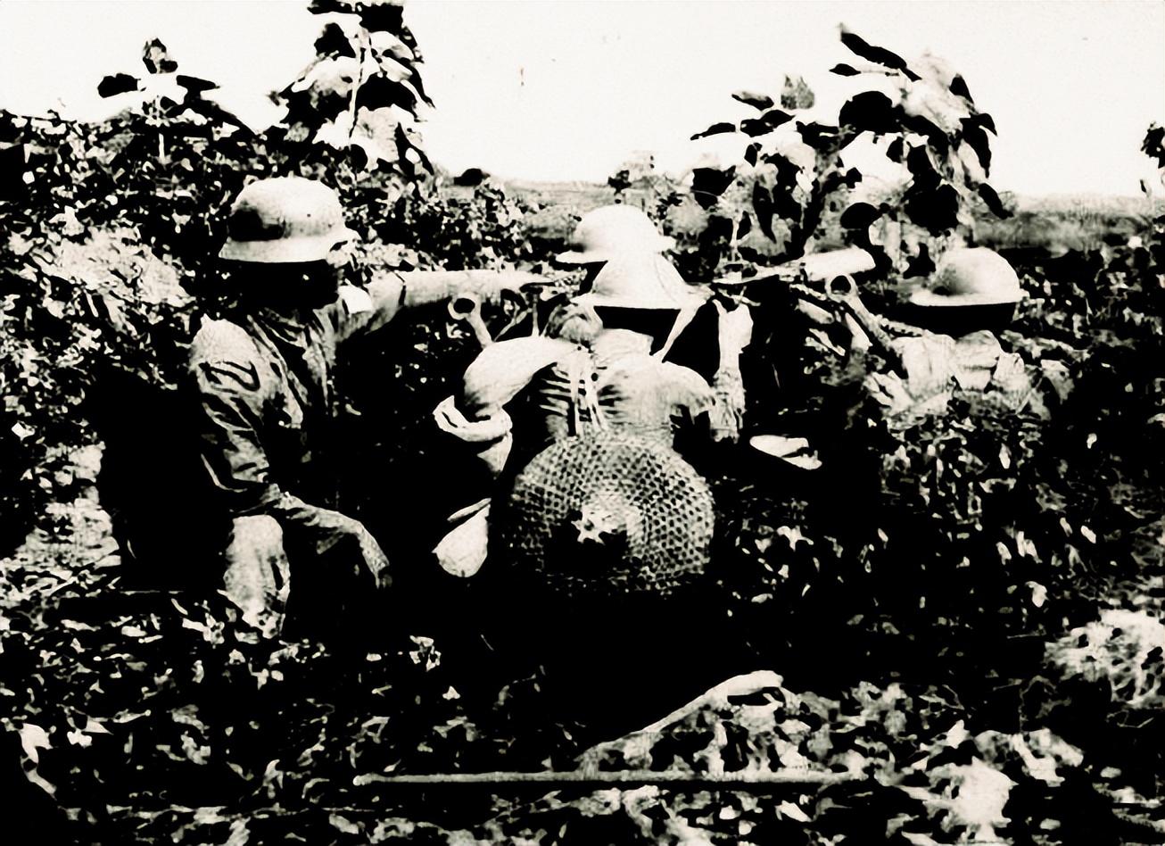 痞子英雄演员阵容与电视剧的星光璀璨及深远影响