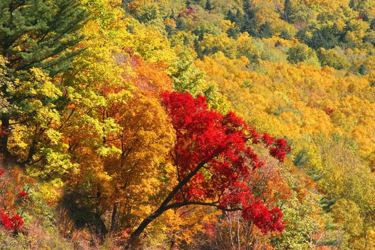 最新秋色网站,最新秋色网站,启程,与大自然共舞