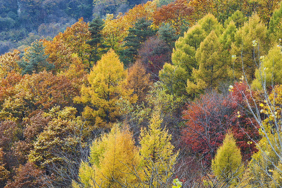 最新秋色网站,最新秋色网站,启程,与大自然共舞