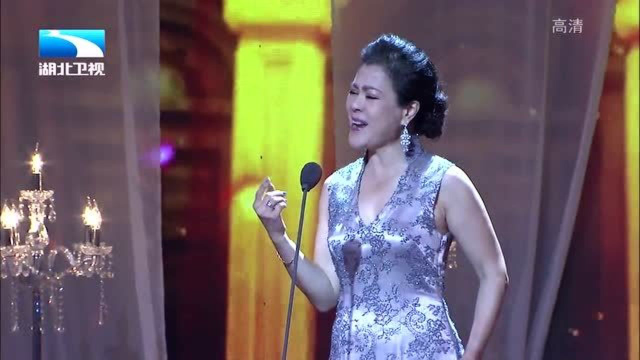 歌剧演员梁宁,舞台上的璀璨之星🌟