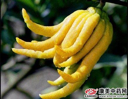 保健品 第260页