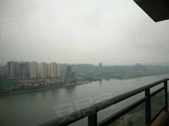 白酒 第260页