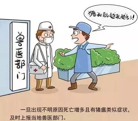 全国最新猪瘟消息详解,应对猪瘟的指南与步骤