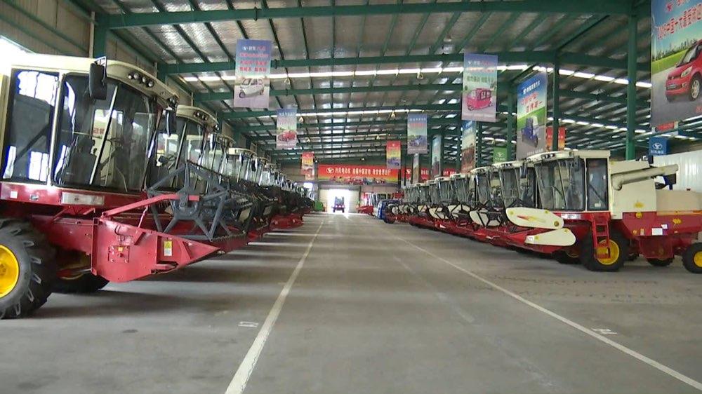 聊城玉米价格走势揭秘,巷弄深处的玉米宝藏动态