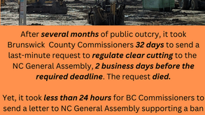 Beeg最新禁令详解,步骤指南与应对之策