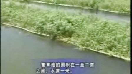 五A添盛坊青稞原浆 第215页