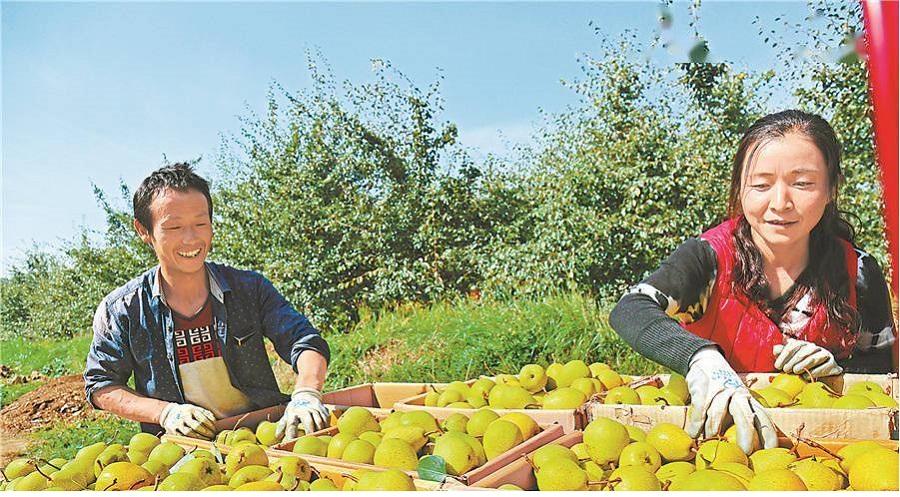 临夏机场最新消息,温馨日常故事揭秘发展细节