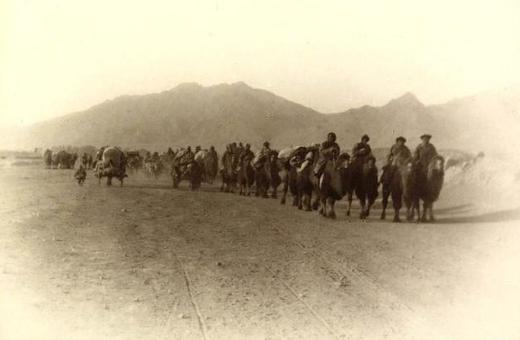 固原地震最新消息,自然美景之旅寻求内心平静的时刻