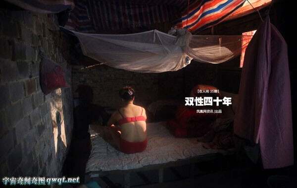 保健品 第177页