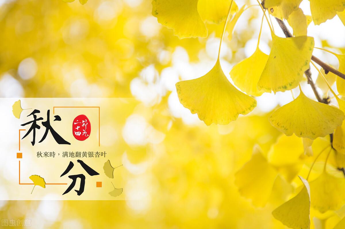 保健品 第171页