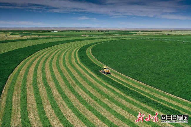 庄园牧场最新动态,蓬勃发展中的产业新动向