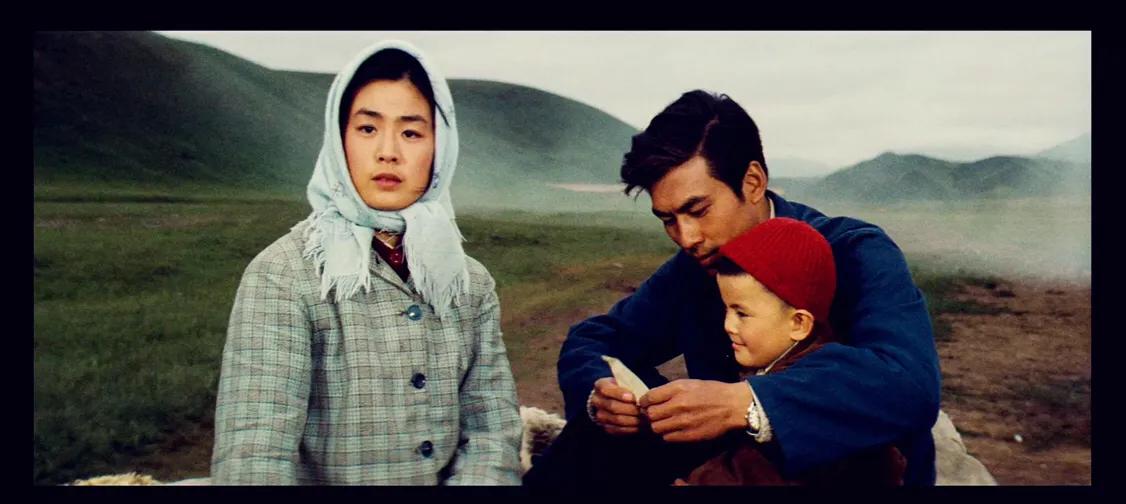 高清最新电影,小巷深处的宝藏探秘