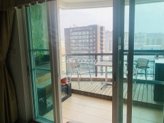 白酒 第126页