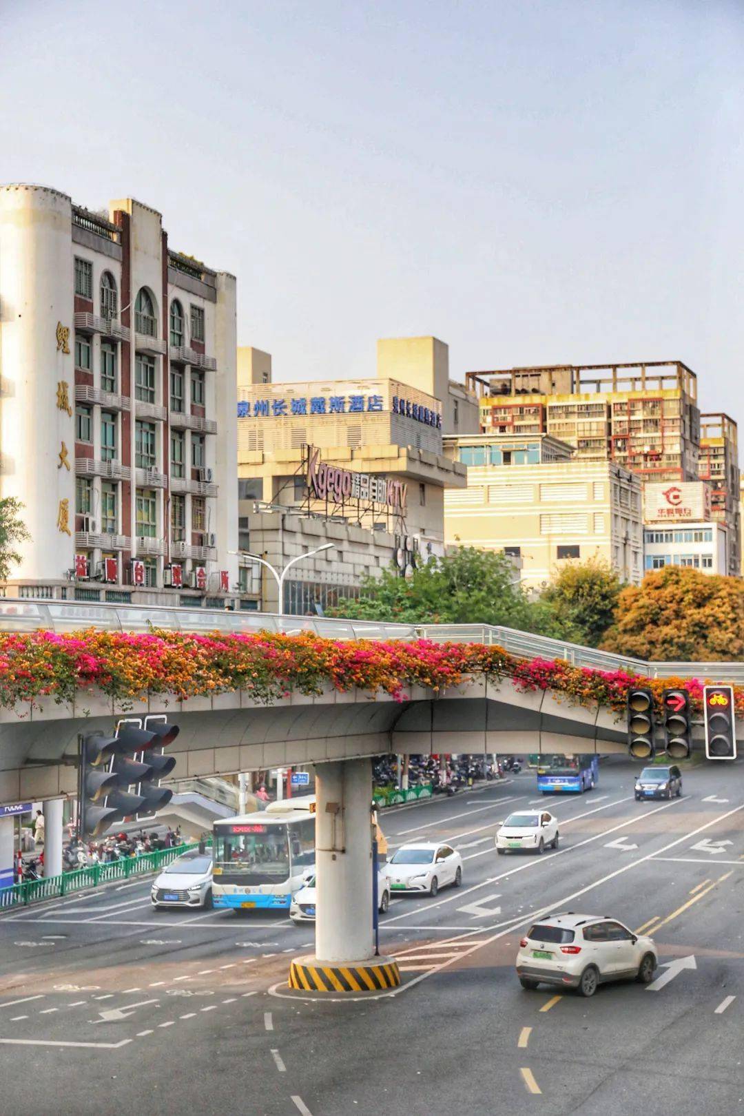 夏门疫情下的自然探索之旅,寻求内心宁静与平和