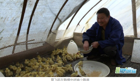 绿色经典精盛青稞酒 第8页