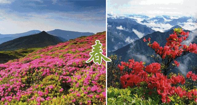 惠州海如花园,时代璀璨明珠,最新力作呈现