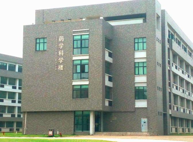 江苏一本投档线最新动态，时代坐标与教育航标