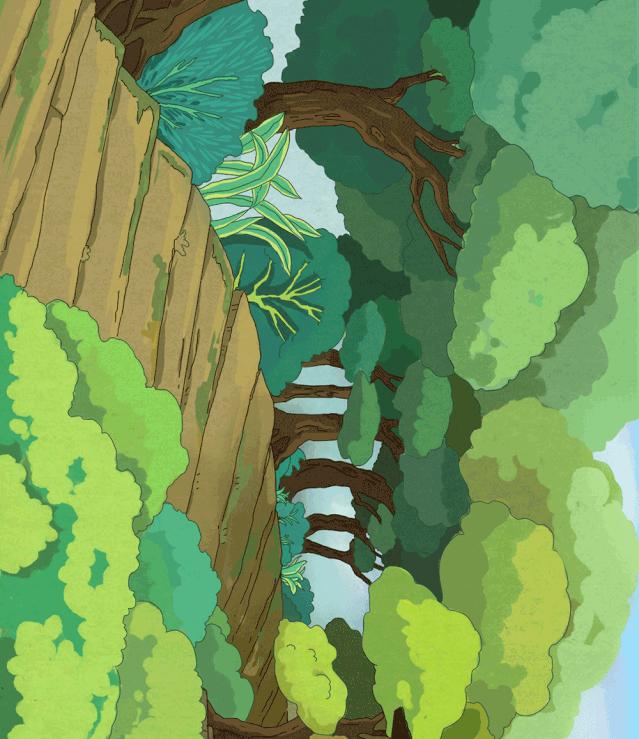 重庆綦江最新动态与任务完成/技能学习指南