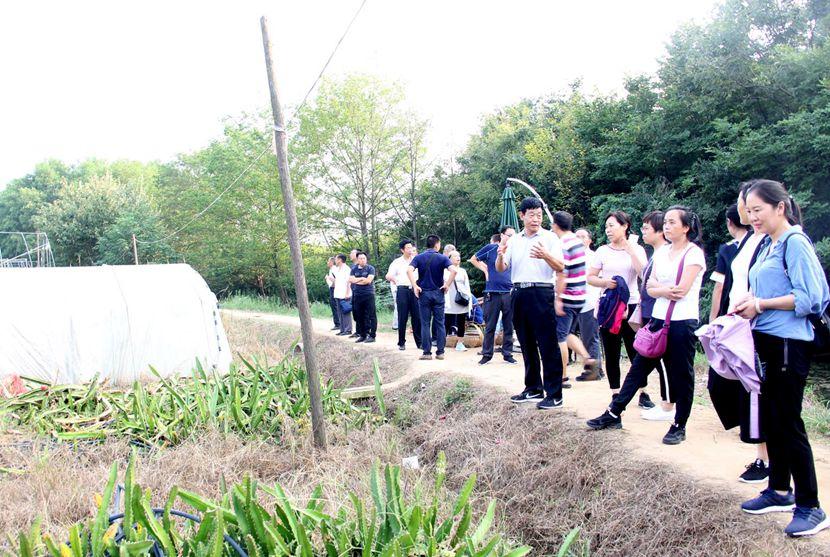 信阳最新一期,城市发展的观点论述与展望